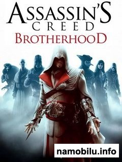 Assassins Creed Brotherhood  / Assassins Creed 