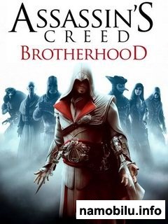 Assassins Creed Brotherhood ( ) /   : 