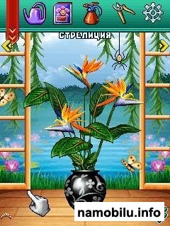 BioSim 2 /  2