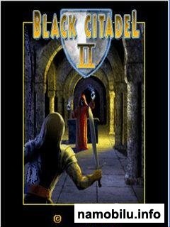 Black Citadel 2
