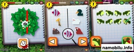 Brain Test 24