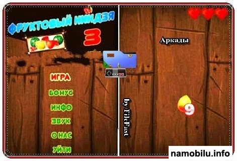 Fruit Ninja III /   III