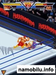 Hulkamania Wrestling /  
