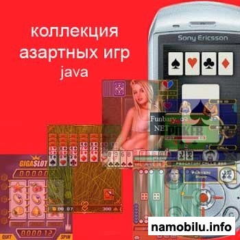      (java)