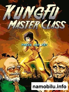 Kung Fu Master Class