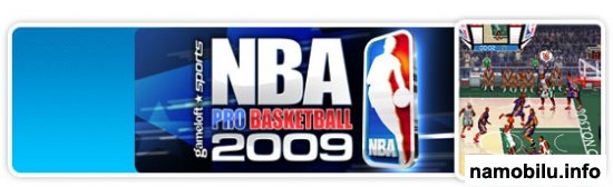 NBA Pro Basketball 2009