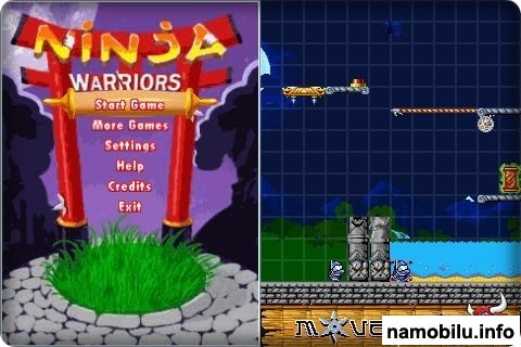 Ninja Warriors /  