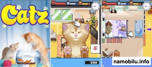   / Cats