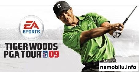 Tiger Woods PGA Tour 2009